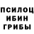 Галлюциногенные грибы Psilocybine cubensis Shoxijaxon Ubaydilayev